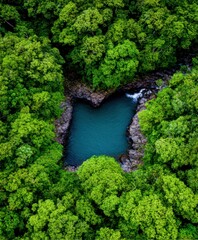 Naklejka premium Heart shaped pool in the rainforest