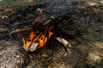 Small campfire burning on forested ground surrounded by twigs, leaves, and small branches. Flames and smoke rise from paper or cardboard as charred wood and ash scatter the forest floor, hinting at a