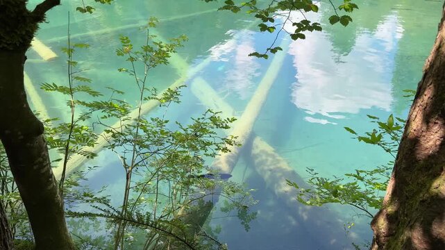 Crystal-clear Blausee lake in Switzerland, where the water is so transparent you can see fish swimming below. Pristine alpine nature, peaceful atmosphere, and stunning natural beauty. Kandergrund 