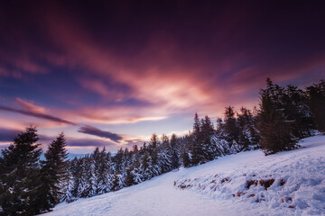 Rysianka - Beskidy - Żywiec © Radosław Dybała