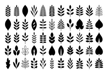 Collection of Black and White Botanical Leaf Illustrations