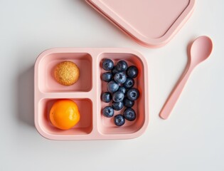 Healthy toddler snack box with blueberries fruit ball and orange