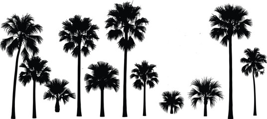 Silhouette of tropical palm trees, isolated palm tree collection, black palm tree illustration, exotic palm forest, summer vacation background