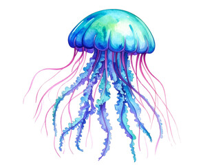  vibrant watercolor jellyfish on white background_ Save to Library_ Download Previ