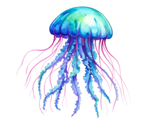  vibrant watercolor jellyfish on white background_ Save to Library_ Download Previ