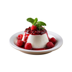 Creamy Panna Cotta with Raspberry Coulis and Fresh Raspberries