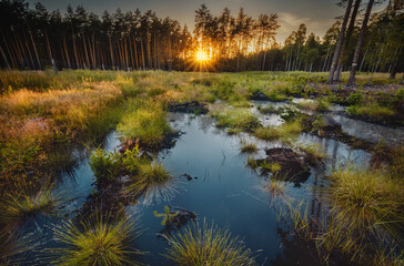 Kalety - Las - Miasteczko Śląskie