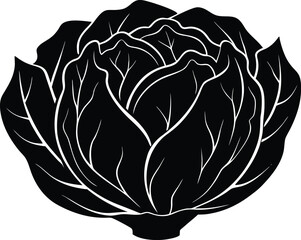 Cabbage Head Silhouette, Fresh Cabbage Vector Design