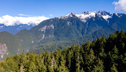 Obraz premium A vast panorama of a lush mountain valley, featuring towering snow-capped peaks and dense evergreen forests, showcasing a serene and majestic landscape.