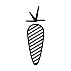Minimalist carrot vegetable illustration, simple line art drawing
