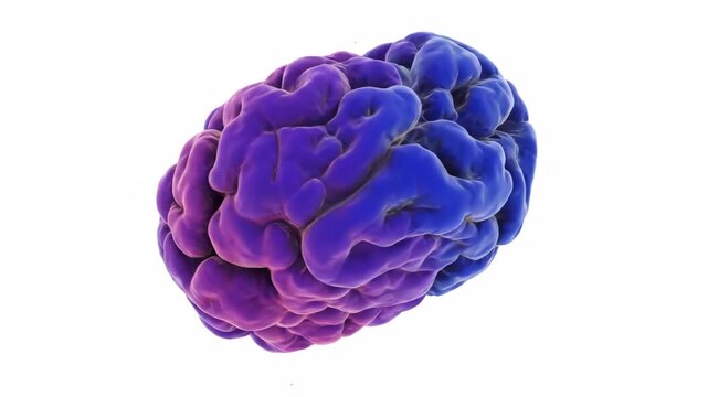 Active Receptor Protein Macro View - Close-up view of a 3D video active receptor protein, isolated on a white background.