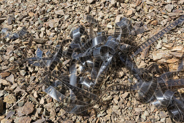 Discarded film strip lies tangled on gravel, representing lost memories or forgotten stories