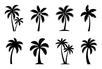 Collection of Black Silhouette Palm Trees on White Background