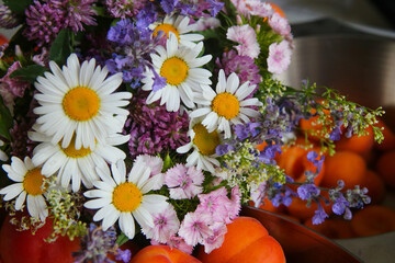 bouquet of wildflowers made of daisies, clover, and other flowers and juicy apricots in bowls 