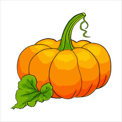 Illustration in vintage style. Collection of design elements. Bright watercolor pumpkin. Ripe autumn vegetable. Multicolor on a white background.