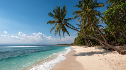experience breathtaking bali vibe with idyllic beaches adorned with lush coconut palms and soft white sands