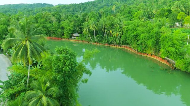 Aerial view of a wide tropical river flowing through dense rainforest with palm trees and retaining walls along its banks, Amazon River, Brazil.