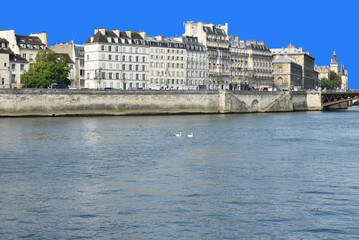 Fototapeta premium Quais de la Seine à Paris en été. France