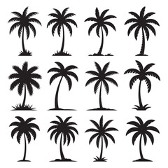 Palm tree vector silhouettes