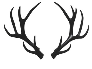 Black antler silhouette shines on a black background, creates contrast for product photography, branding, or social media.