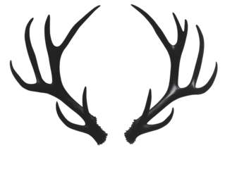 Black antler silhouette shines on a black background, creates contrast for product photography, branding, or social media.