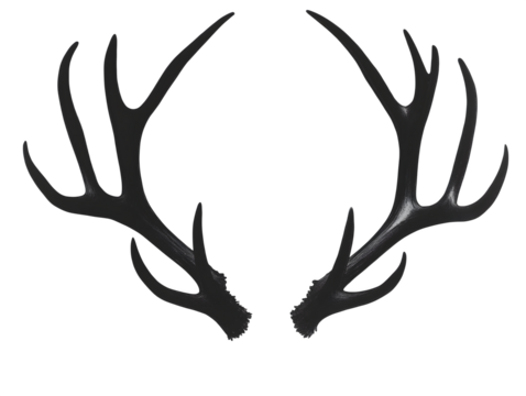 Black antler silhouette shines on a black background, creates contrast for product photography, branding, or social media.