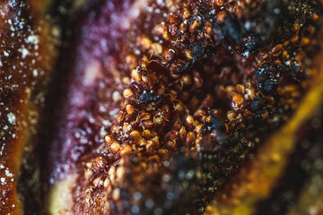 Background with the texture of baked figs, close-up. Macro photography.