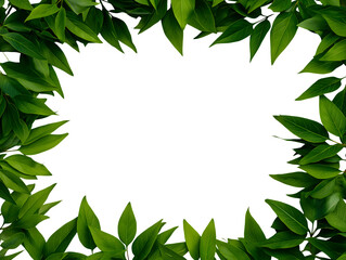 Fototapeta premium Green leaf frame has organic textures, creating a botanical border for product staging, digital template, and social media.
