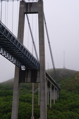 Suspension bridge with forest in the background