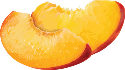 Freshly cut peach slices depicting juicy fruit in a vibrant watercolor illustration