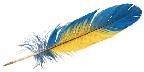 Obraz premium Blue and Yellow Bird Feather, Isolated on Transparent Background, High-Resolution Image, Avian, Nature, Feather, Bird, Texture