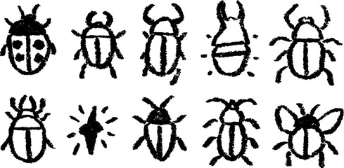 Hand drawn doodle set of beetles and ladybugs for nature design