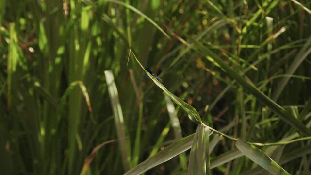 Paddeln im Spreewald