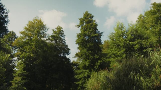 Paddeln im Spreewald