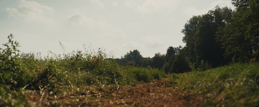 Paddeln im Spreewald