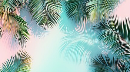 Exotic Palm Fronds Casting Cool Shadows