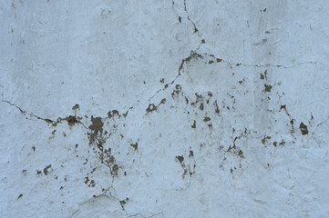 Old grunge wall texture. Background and texture for graphic design.