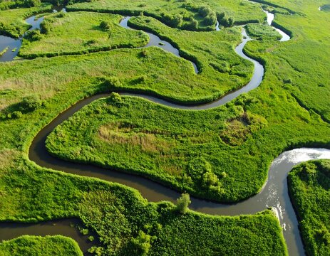 Aerial View Meandering River Green Landscape. - Powered by Adobe