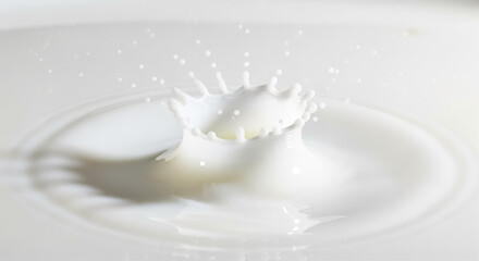 Milk splash crown and droplets in liquid motion