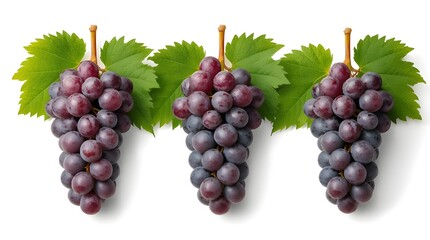 Obraz premium Bunch of red grapes, Bunch of grapes