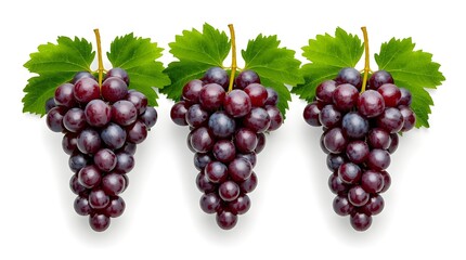 Bunch of red grapes, Bunch of grapes