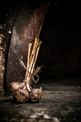 Artistic Close-Up of a Bunch of Garlic, Rustic and Natural Composition