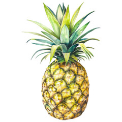 Fototapeta premium Sun-ripened pineapple in watercolor style with organic imperfections, isolated on white background. Celebrates tropical freshness and natural beauty