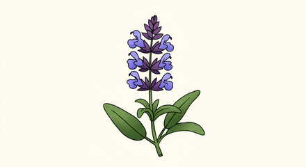 Obraz premium Sage Flower with Purple Blue Blossoms and Green Leaves Outdoors, Garden Botanical Illustration, Macro Floral Visual, Nature Photography, Colorful Flower Graphic
