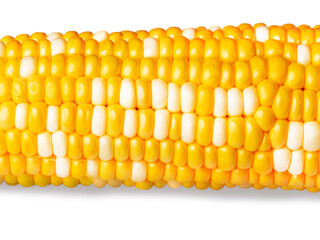 Fresh yellow corn on the cob, close-up on white background
