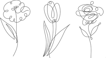 Minimalistic continuous line drawing of tropical flowers, including tulips, poppies, peonies and orchids, elegant botanical illustration for beauty salon, floral shop, social media and wall art. © passionart