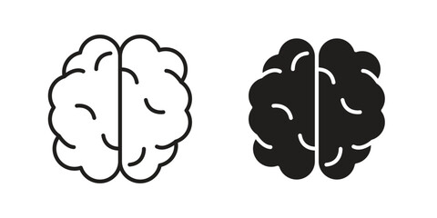 Brain icon