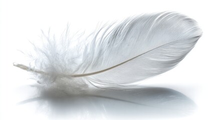 Obraz premium Close Up Of A Single White Feather Against A Clean White Background, Soft Lighting And Delicate Texture, Minimalist And Serene Image, Shows Pure