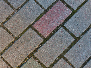 Pavement with red and gray paving stones with moss in joints