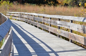 Fototapeta premium wooden bridge walkway curved trail in woods nature